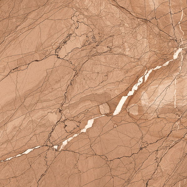 81005 CAMPUS BROWN