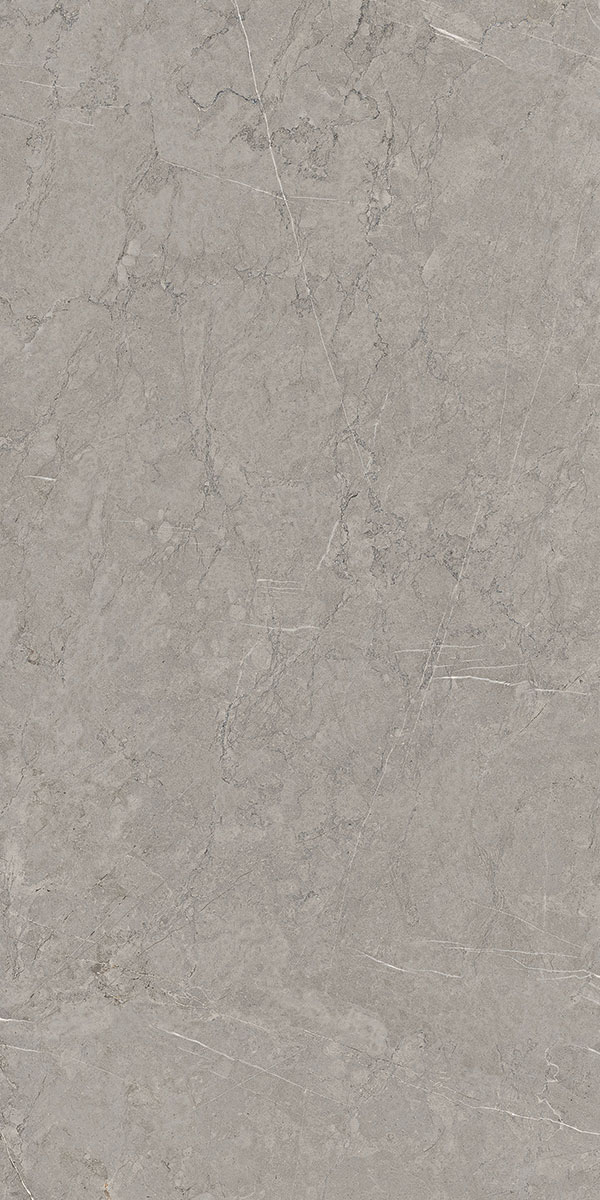 21013 ACHROMIC DARK GREY