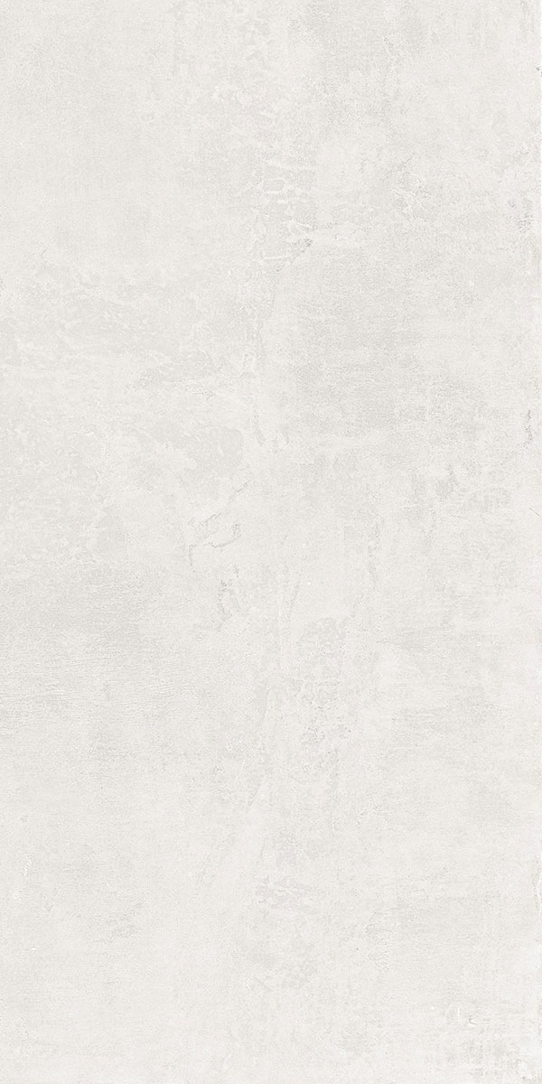 21031 ARNICA GREY LT