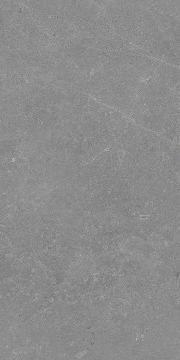 9203 BOCH GRIS DARK
